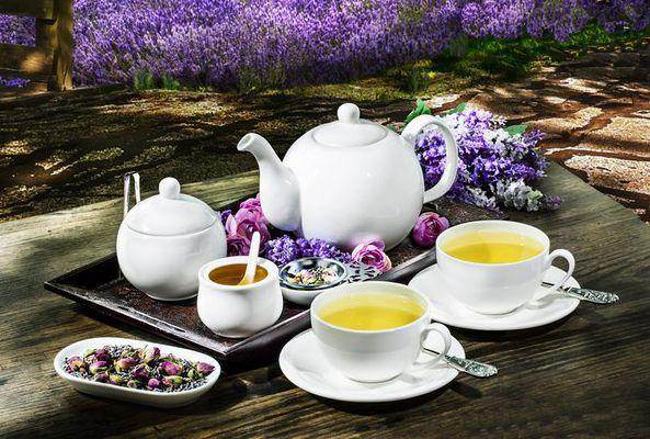 White Tea Cup 8 Oz | 250 Ml - Loft&Timber