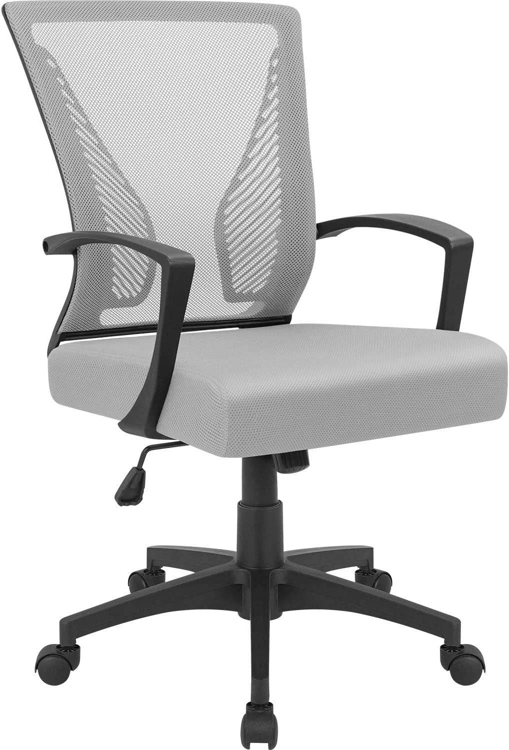 Office Chair Swivel Lumbar Support Desk Chair (Gray) - Loft&Timber