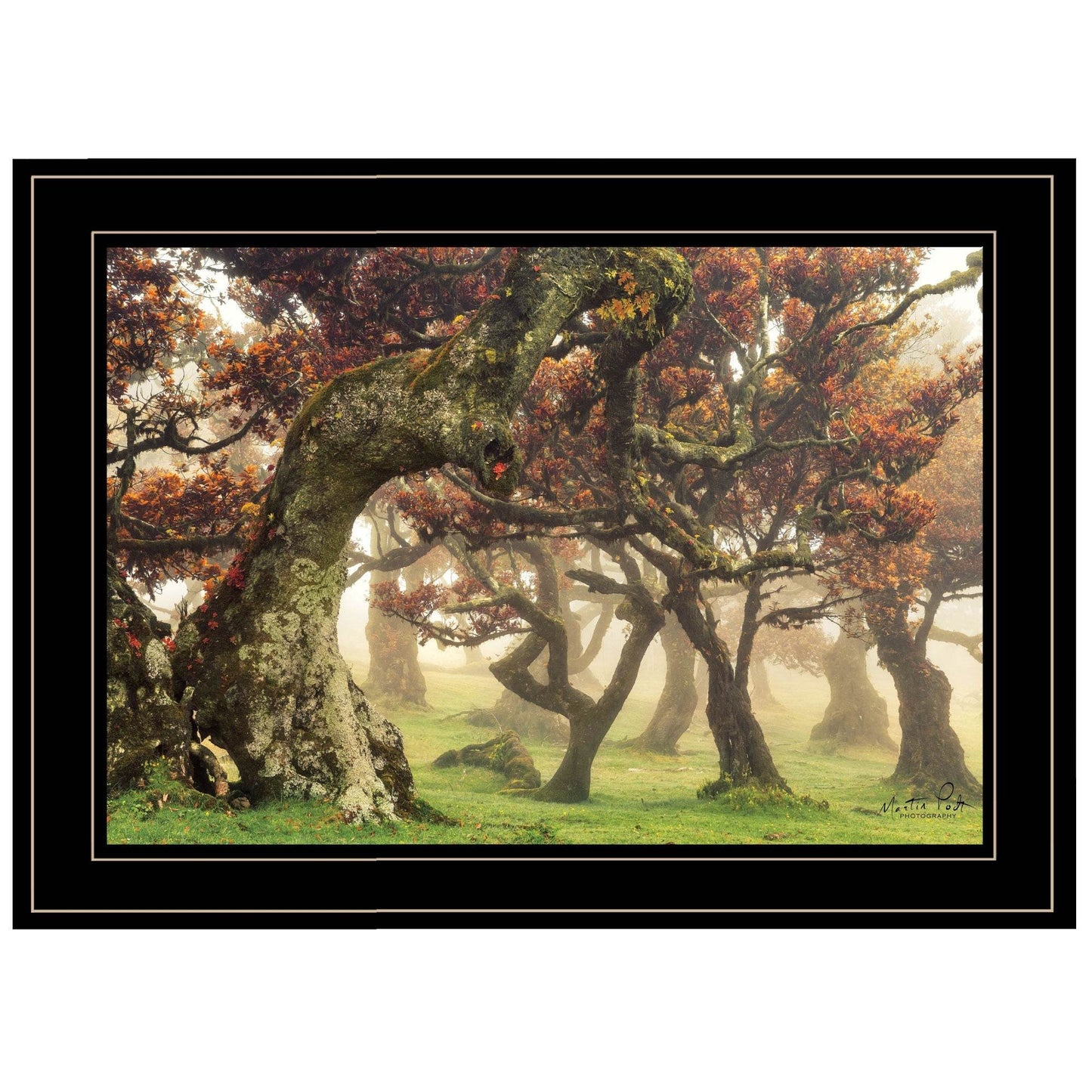 Fanal Martin Podt Ready to Hang Framed Print Black Frame Black Framed Print Wall Art - Loft&Timber