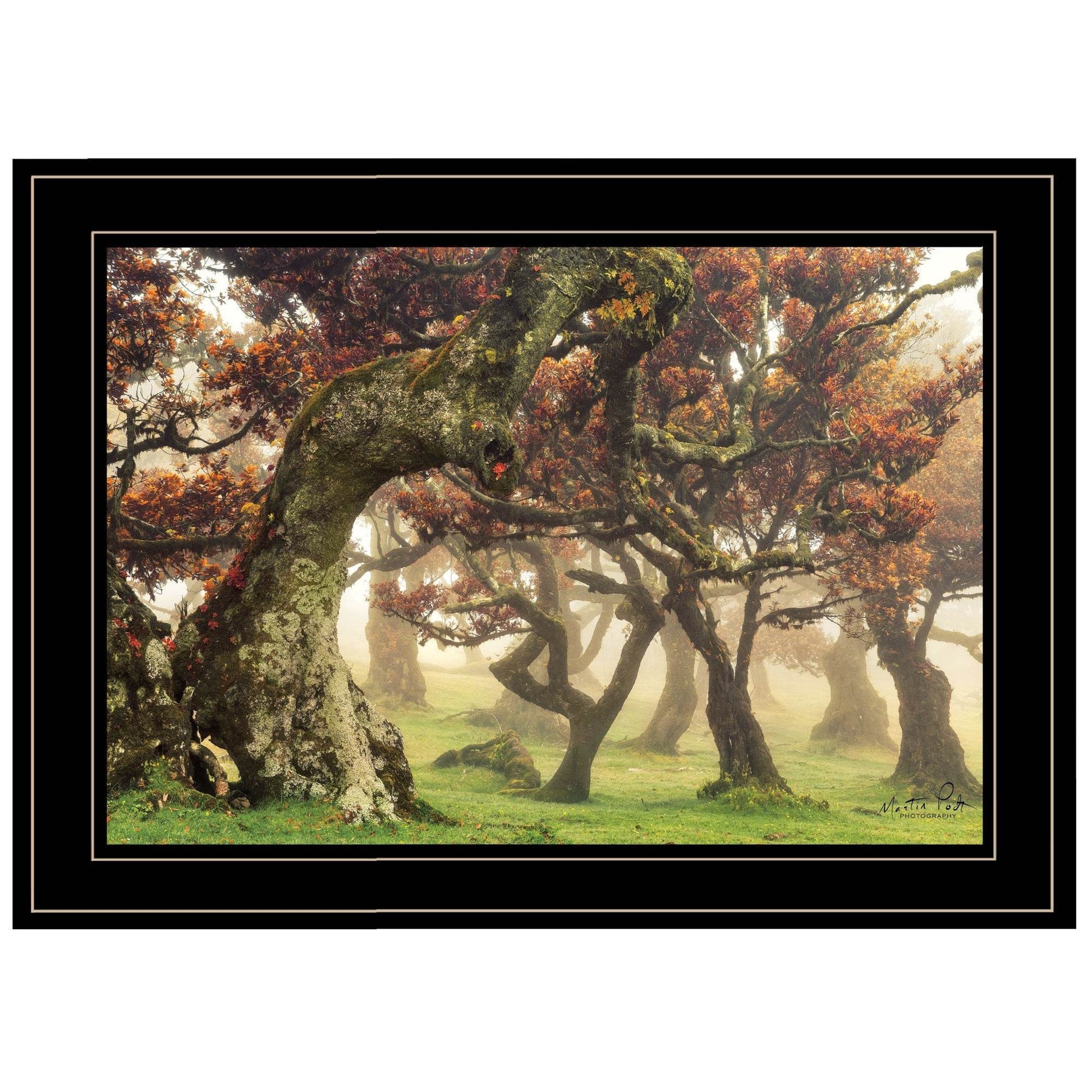 Fanal Martin Podt Ready to Hang Framed Print Black Frame Black Framed Print Wall Art - Loft&Timber