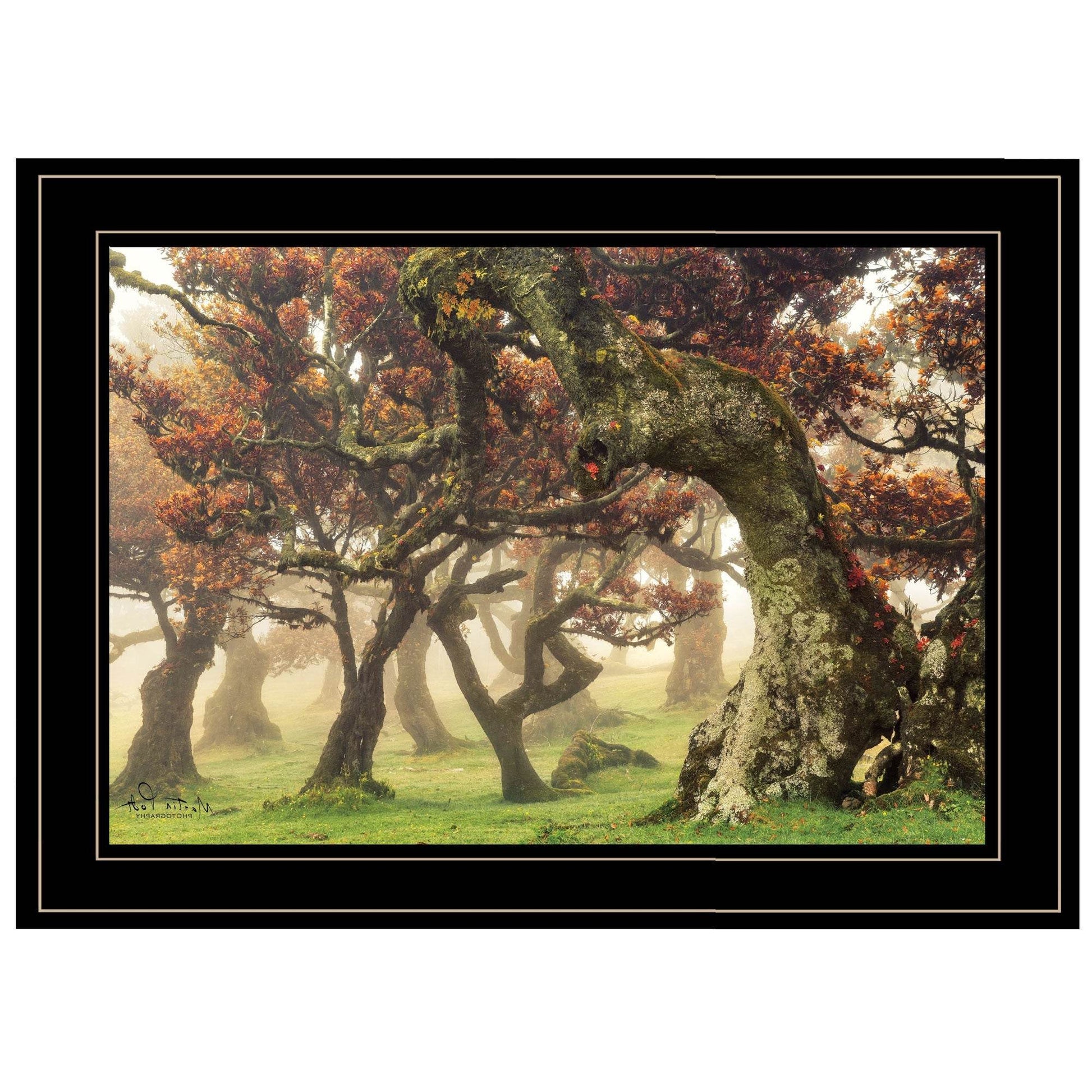 Fanal Martin Podt Ready to Hang Framed Print Black Frame Black Framed Print Wall Art - Loft&Timber