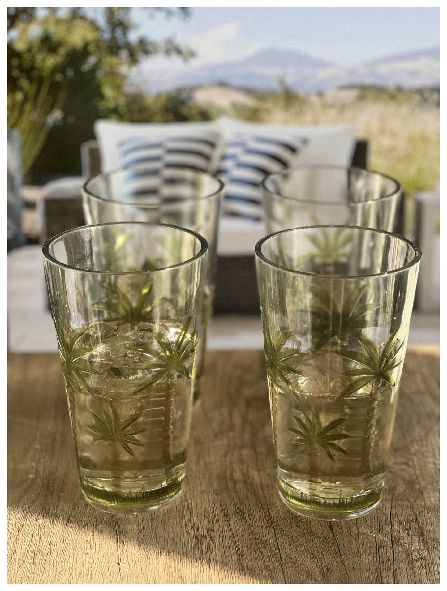 Set of Four Clear and Green Palm Tree Acrylic Highball Glasses - Loft&Timber