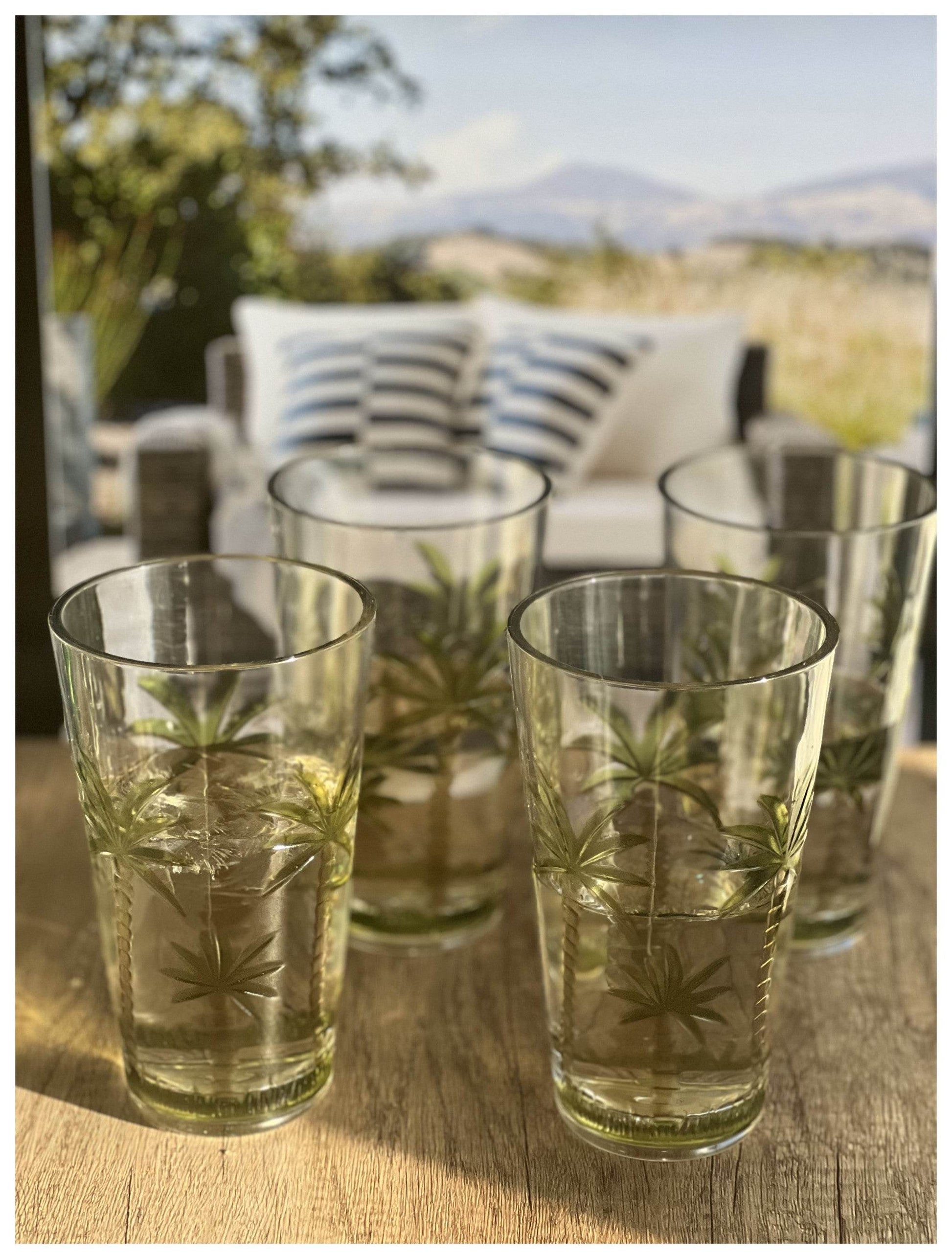Set of Four Clear and Green Palm Tree Acrylic Highball Glasses - Loft&Timber
