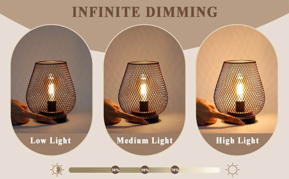 Set of 2 Rechargeable Battery Operated Lamp LED Table Lamp Metal Cage Cordless Lamps with LED Bulb - Loft&Timber