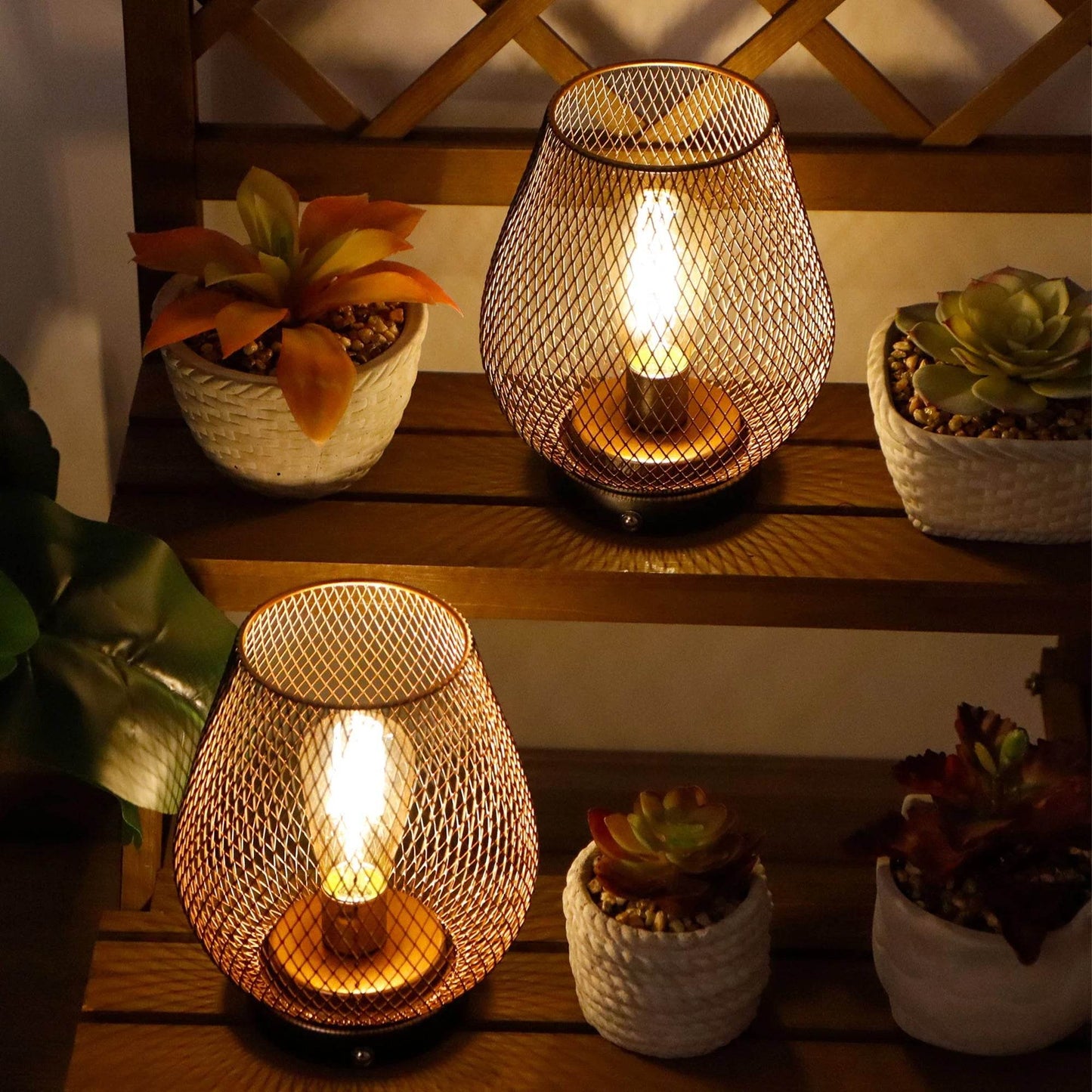 Set of 2 Rechargeable Battery Operated Lamp LED Table Lamp Metal Cage Cordless Lamps with LED Bulb - Loft&Timber