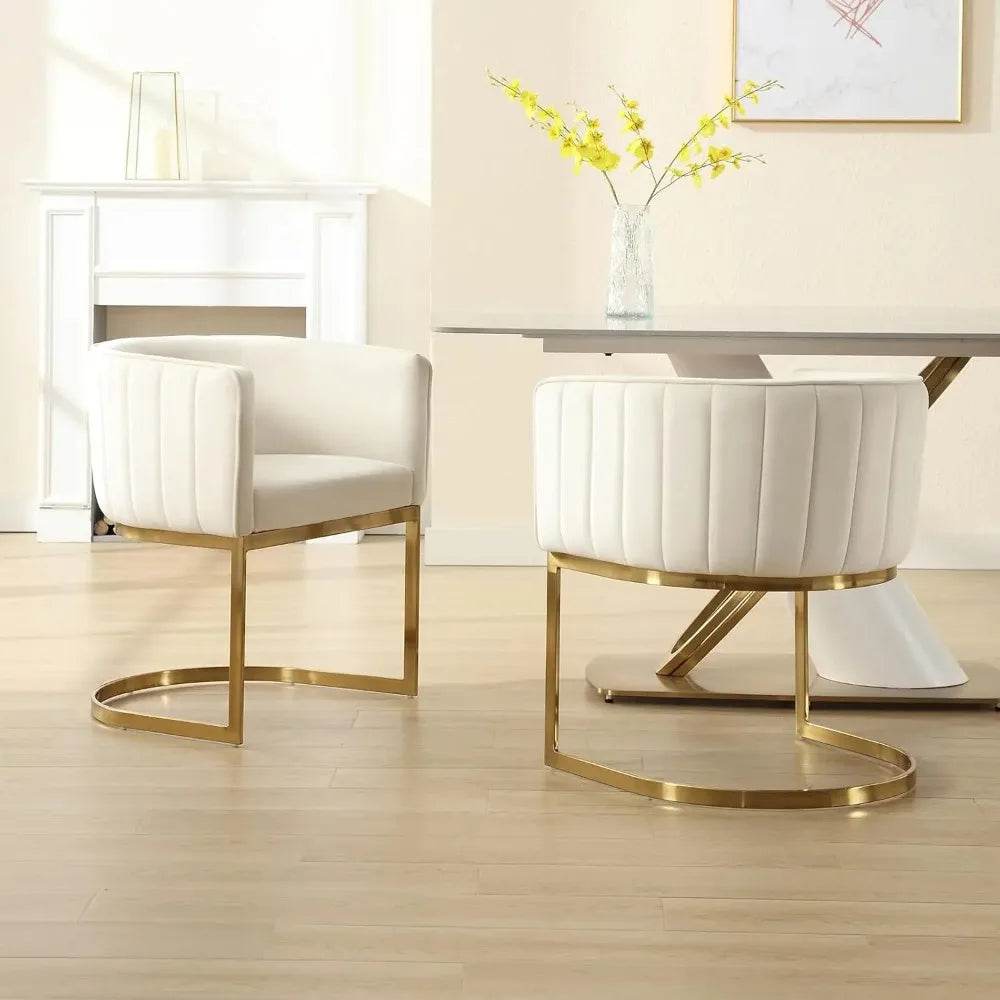 Dining Chairs Set of 4, Velvet with Metal Frame - Loft&Timber