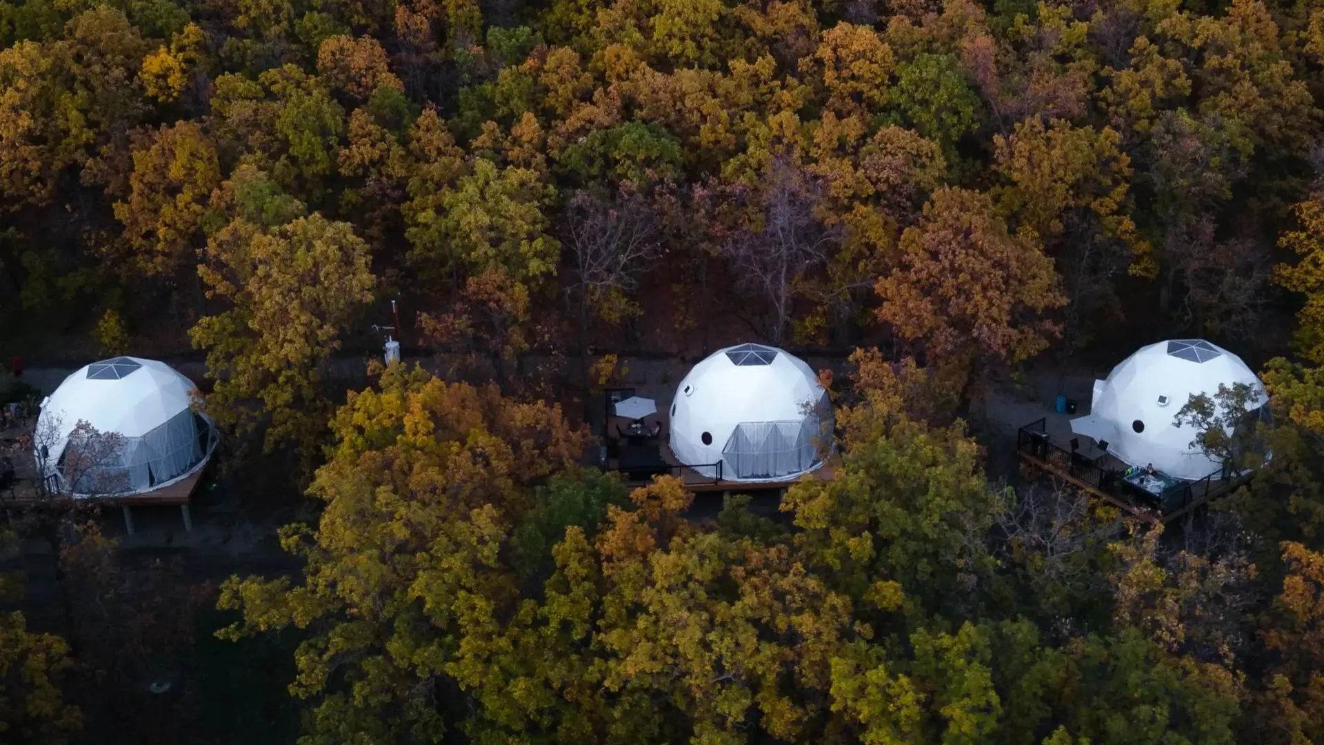 Geodesic Dome Manor Greenhouse Tent - Loft&Timber