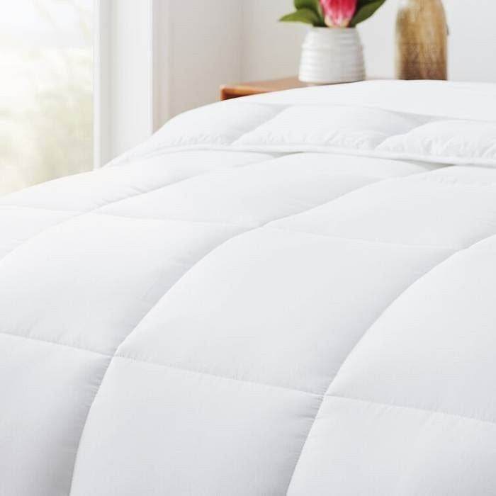 Twin Size Cozy All Seasons Plush White Polyester Down Alternative Comforter - Loft&Timber