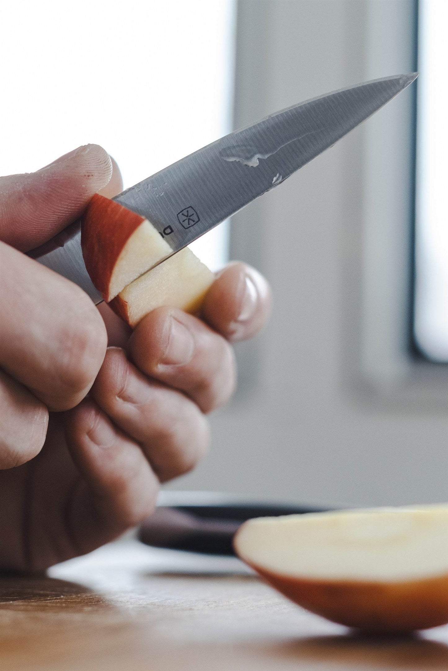 Superior 3.5 inch Paring Knife - Gray - Loft&Timber