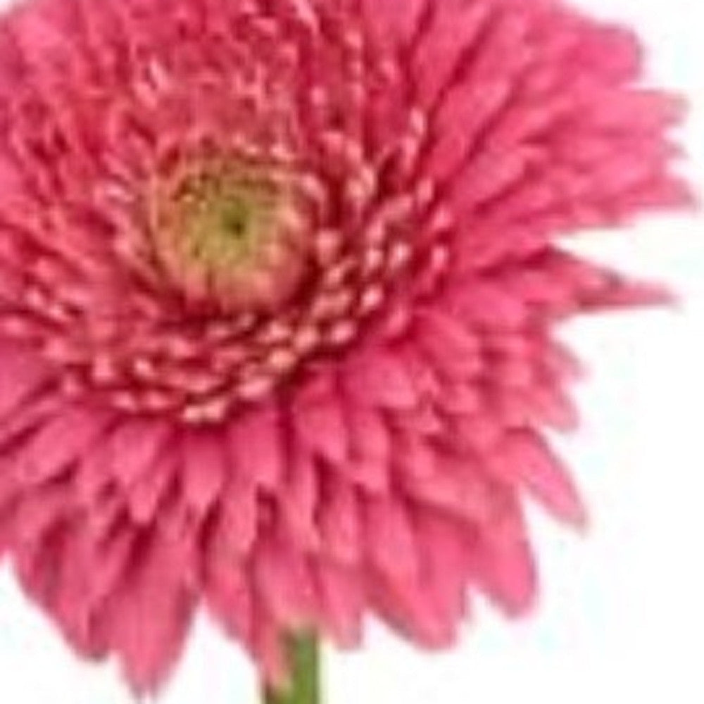 6" Clear Square Crystal Glass Table Vase - Loft&Timber