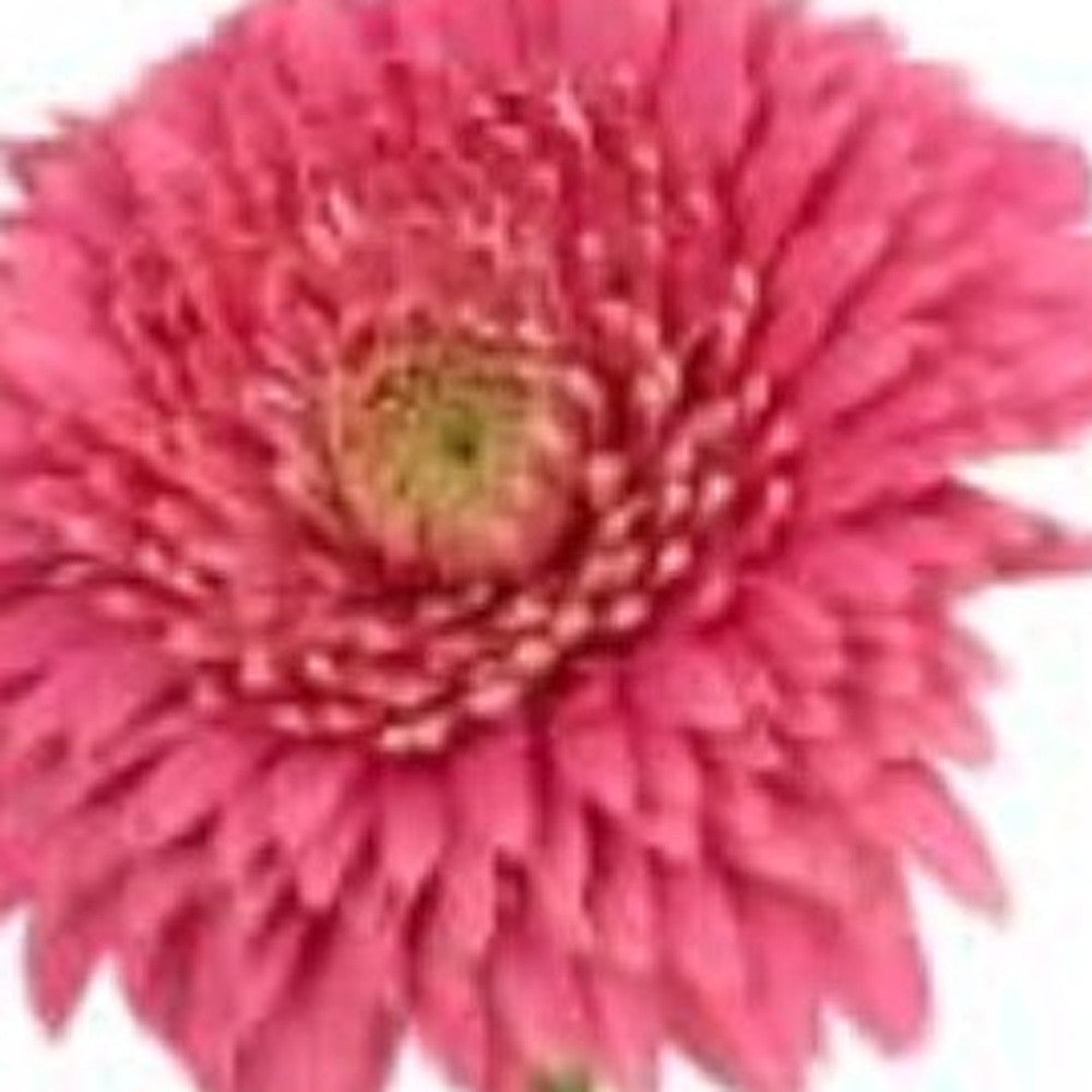 6" Clear Square Crystal Glass Table Vase - Loft&Timber