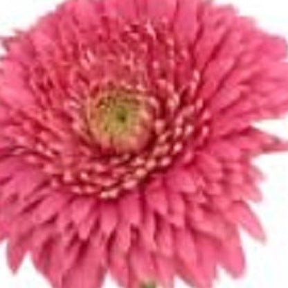 6" Clear Square Crystal Glass Table Vase - Loft&Timber