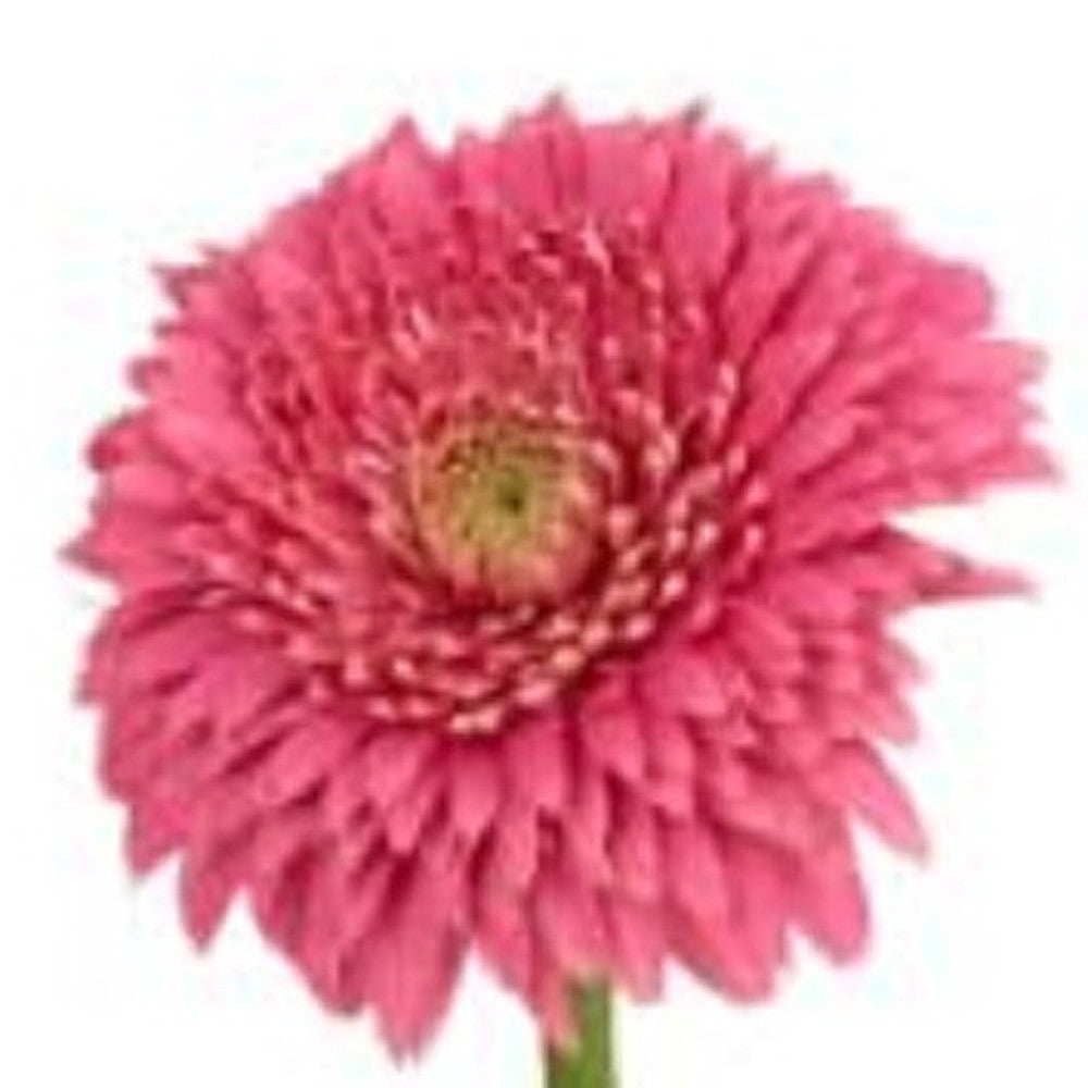 6" Clear Square Crystal Glass Table Vase - Loft&Timber