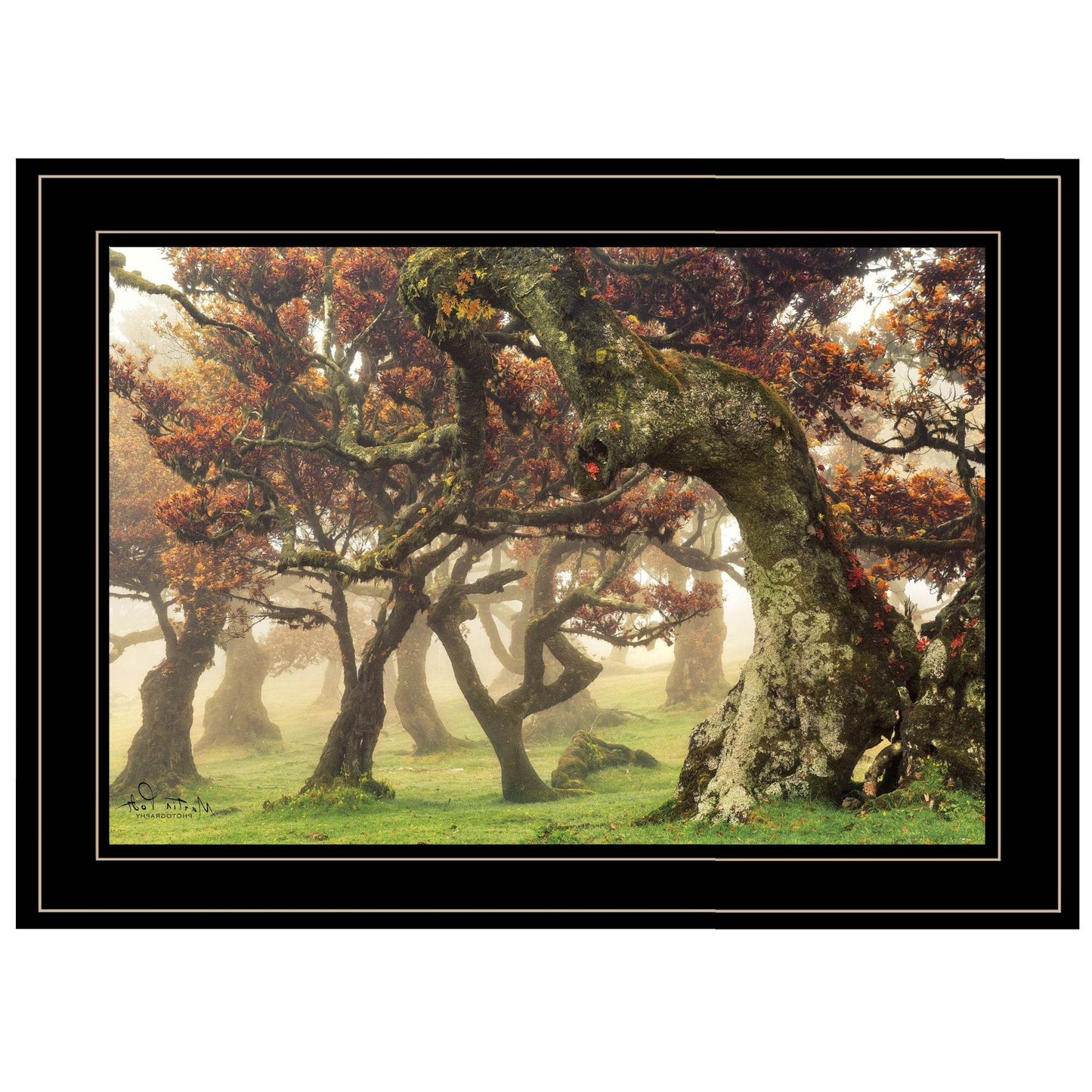 Fanal Martin Podt Ready to Hang Framed Print Black Frame Black Framed Print Wall Art - Loft&Timber
