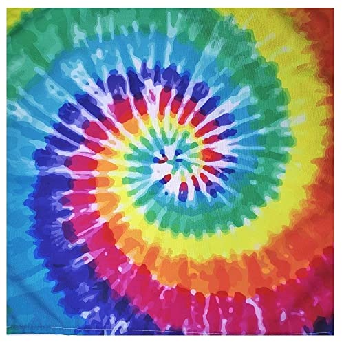 Charlo's Cloth Napkins Set of 4 Tie Dye 16" by 16" - Colored - Loft&Timber