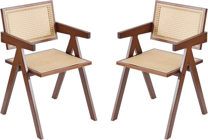 Rattan Dining Chairs Set of 2, Mid Century Modern in Walnut - Loft&Timber