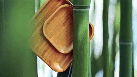 Bamboo Square Plate 5" inch X 5" inch | For Appetizers - Loft&Timber