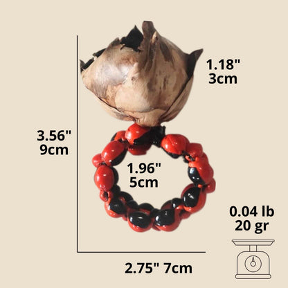 BIOJewelry Set of 4 Amazon Peel Coconut Babacu Acai Napkin Rings Handmade for Dining Table - Loft&Timber