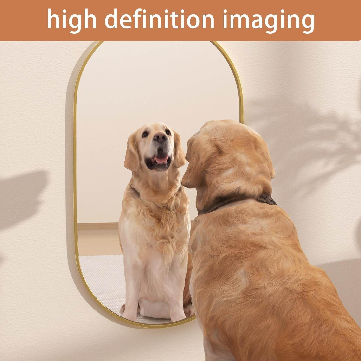 Oval Mirrors,Oval Bathroom Mirrors,20X28 Gold Mirror for Wall,Wall Mirror,Bathroom Mirrors for over Sink(Gold) - Loft&Timber