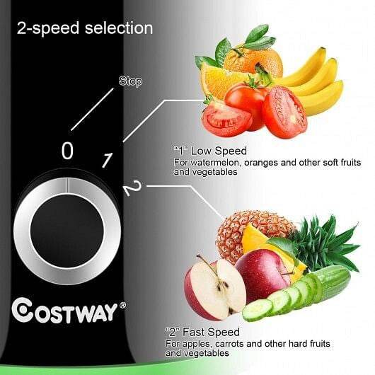 2 Speed Wide Mouth Fruit and Vegetable Centrifugal Electric Juicer.. - Loft&Timber