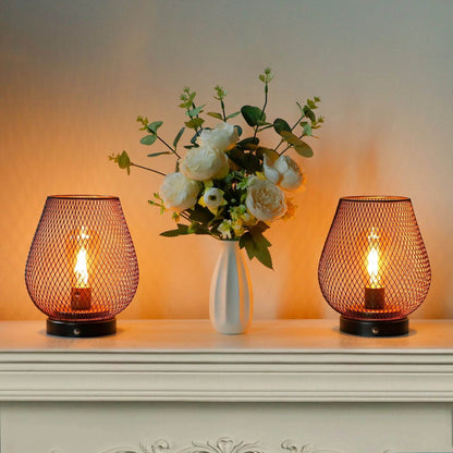 Set of 2 Rechargeable Battery Operated Lamp LED Table Lamp Metal Cage Cordless Lamps with LED Bulb - Loft&Timber