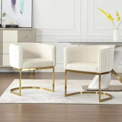 Dining Chairs Set of 4, Velvet with Metal Frame - Loft&Timber