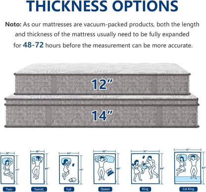 Twin XL Mattress,12 Inch Superior Hybrid XL Twin Mattress in a Box with Gel Memory Foam - Loft&Timber