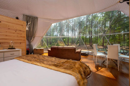 Geodesic Dome Manor Greenhouse Tent - Loft&Timber