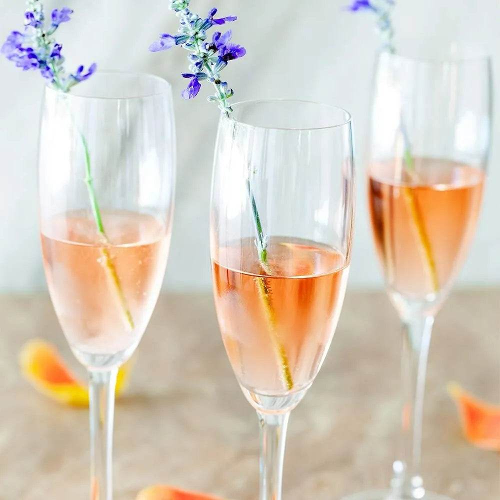 Set of 12 Voglia Nude 6 Oz Champagne Glasses - Loft&Timber