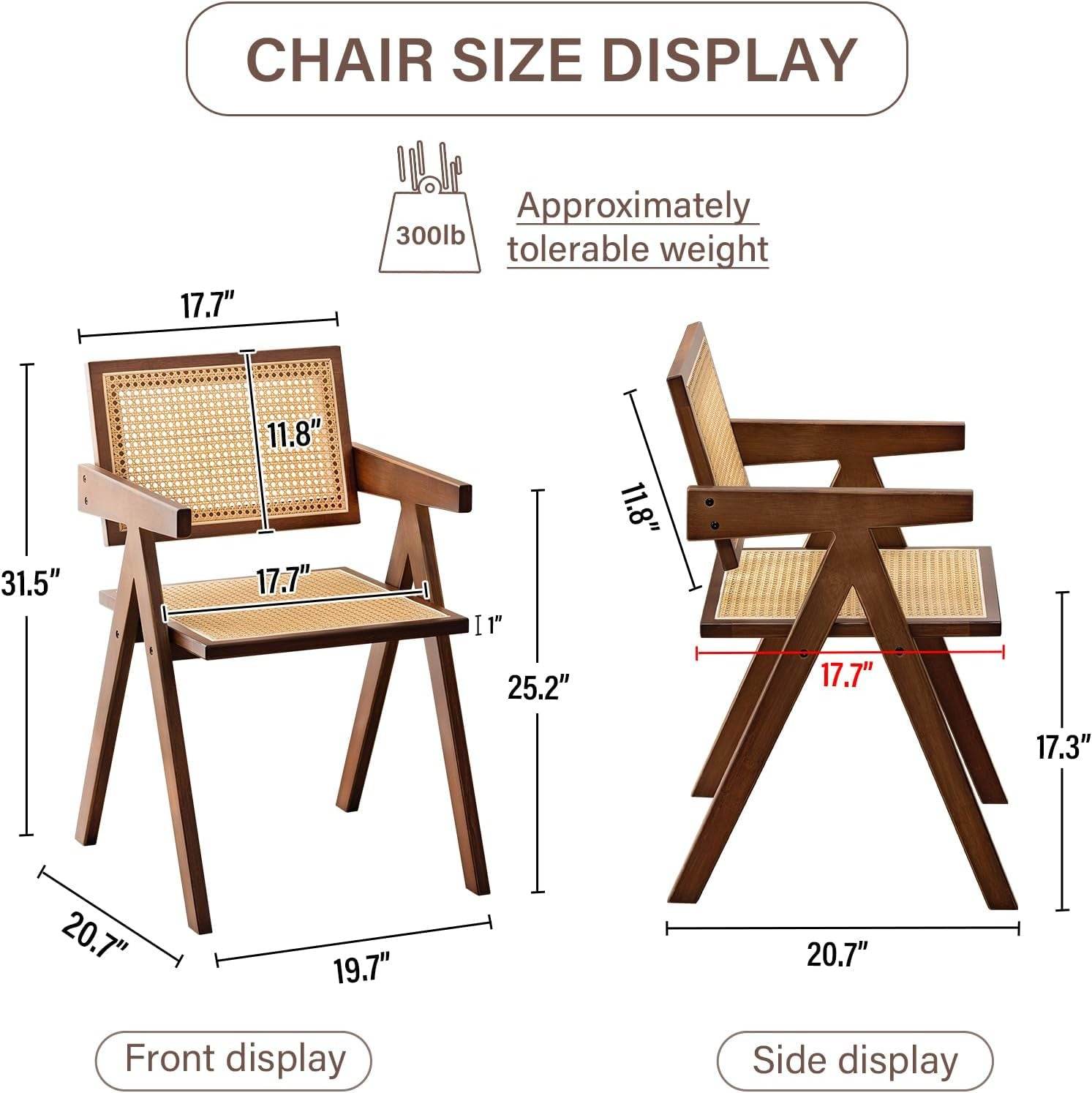 Rattan Dining Chairs Set of 2, Mid Century Modern in Walnut - Loft&Timber
