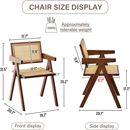Rattan Dining Chairs Set of 2, Mid Century Modern in Walnut - Loft&Timber