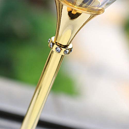 The Wine Savant Gold Cocktail, Martini & Champagne Glasses Rhinestone DIAMOND Studded, Cosmopolitan Elegant Crystal Glassware, Set of 2-10oz, 10" Tall Stem Sparkling Margaretta, Wedding, or Everyday - Loft&Timber
